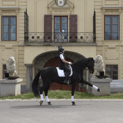 Irmi-Kronsteiner & Luxor im spanischen Schritt, Schloss Hubertendorf