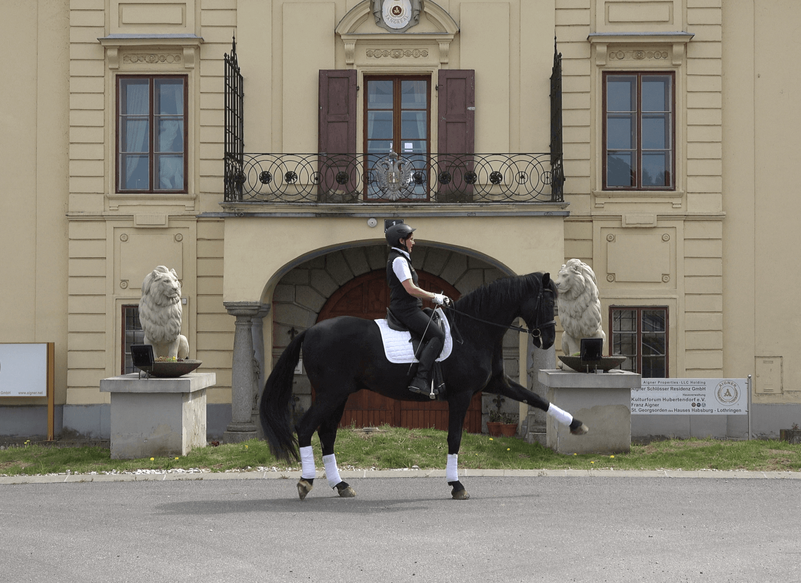 Riding lessons and horse training